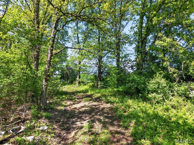 12971 Cowboy Drive, De Soto, MO 63020