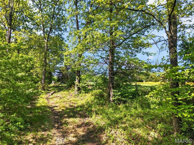 12971 Cowboy Drive, De Soto, MO 63020
