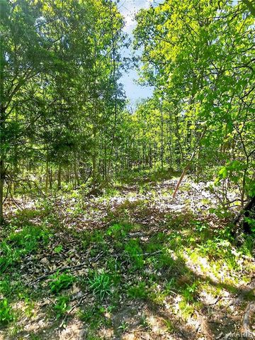12971 Cowboy Drive, De Soto, MO 63020