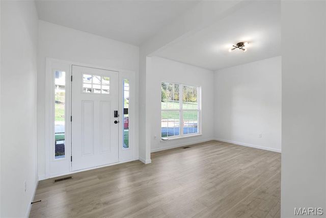 205 Windmill View, Wentzville, MO 63385