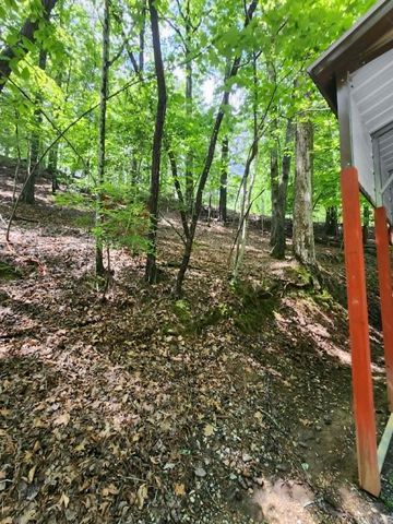 59 37th Street, Ellijay, GA 30540