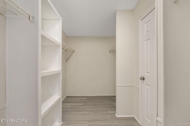 3315 Chuckey Hwy, Limestone, TN 37681