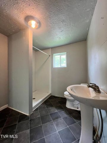 113 Sycamore Street, Greeneville, TN 37745