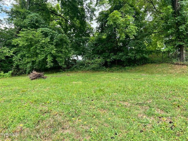 113 Sycamore Street, Greeneville, TN 37745