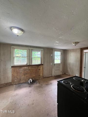 113 Sycamore Street, Greeneville, TN 37745