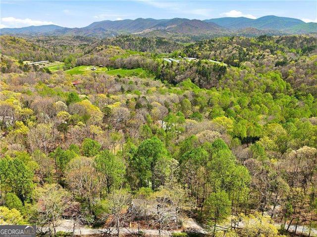 183 Dogwood Court, Ellijay, GA 30540