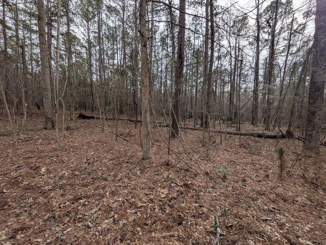 1220 Lagrange Highway, Greenville, GA 30222