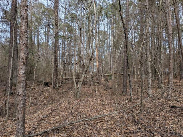 1220 Lagrange Highway, Greenville, GA 30222