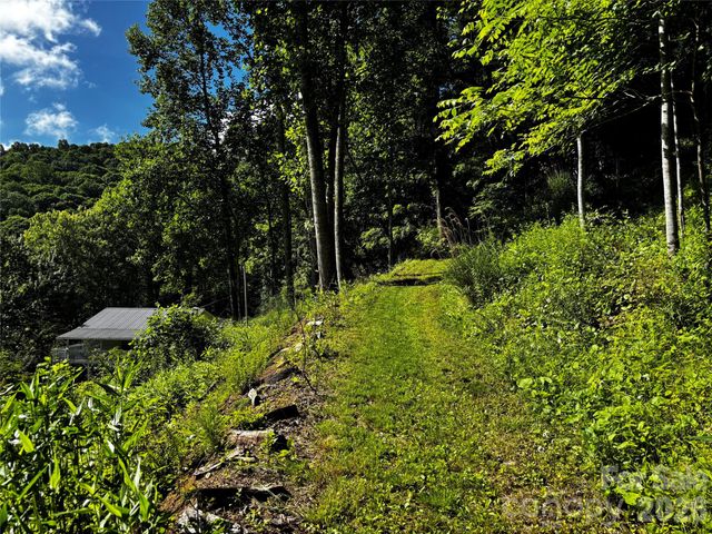 2879 Chandler Creek Road, Mars Hill, NC 28754