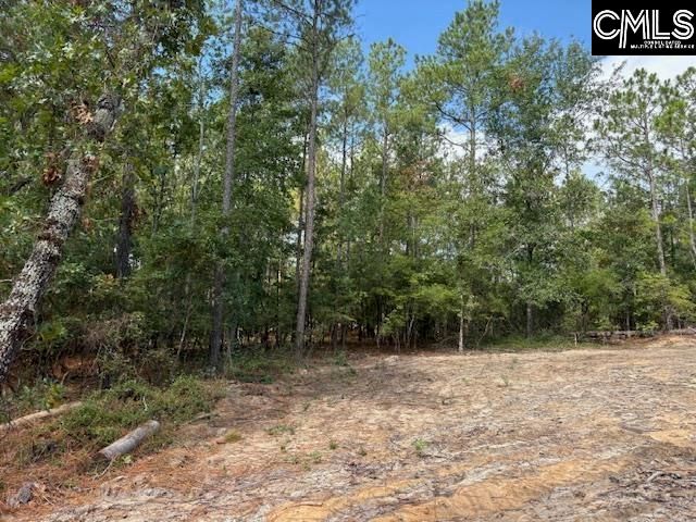 991 Ben Franklin Road, Gilbert, SC 29054