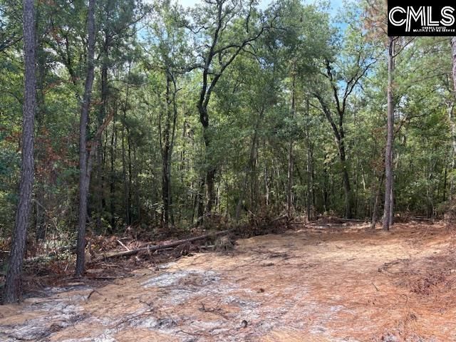 991 Ben Franklin Road, Gilbert, SC 29054
