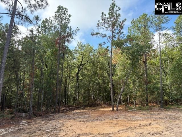 991 Ben Franklin Road, Gilbert, SC 29054