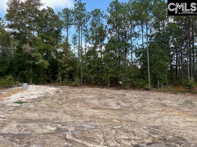 991 Ben Franklin Road, Gilbert, SC 29054
