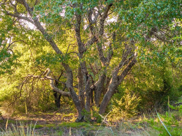 128 Private Road 142, Lampasas, TX 76550