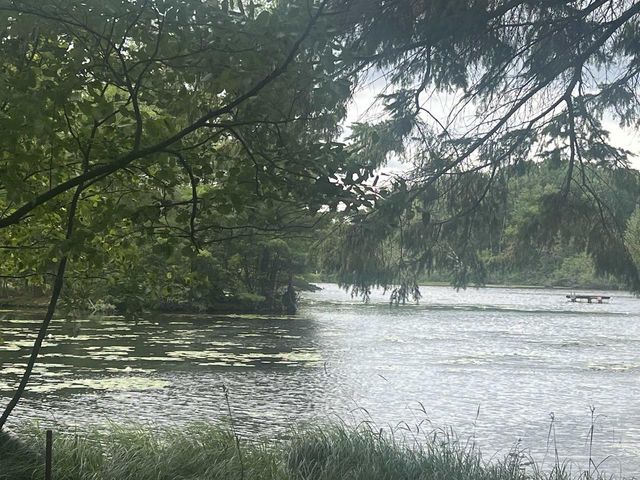 N8981 W ISLAND ROAD, Phillips, WI 54555