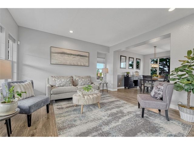 21777 Unbridled Ave, Parker, CO 80138