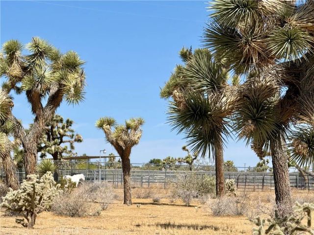 0 Sun Mesa, Yucca Valley, CA 92284