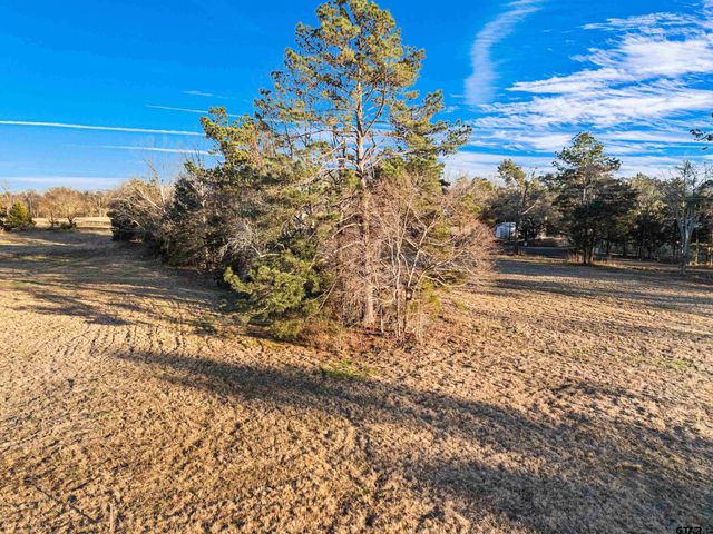 Lot 1 Ridgeway Ct., Winona, TX 75792