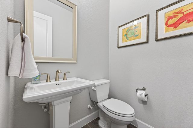 411 Callery Pear Court, Conroe, TX 77304