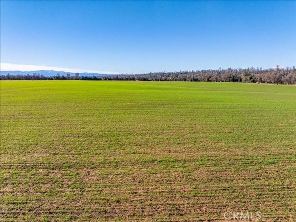 Image 11 of property listing at 0 Old Gold Road, Cottonwood, CA 96022
