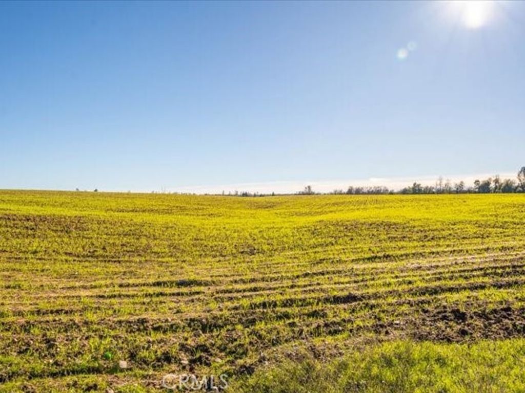 Image 44 of property listing at 0 Old Gold Road, Cottonwood, CA 96022
