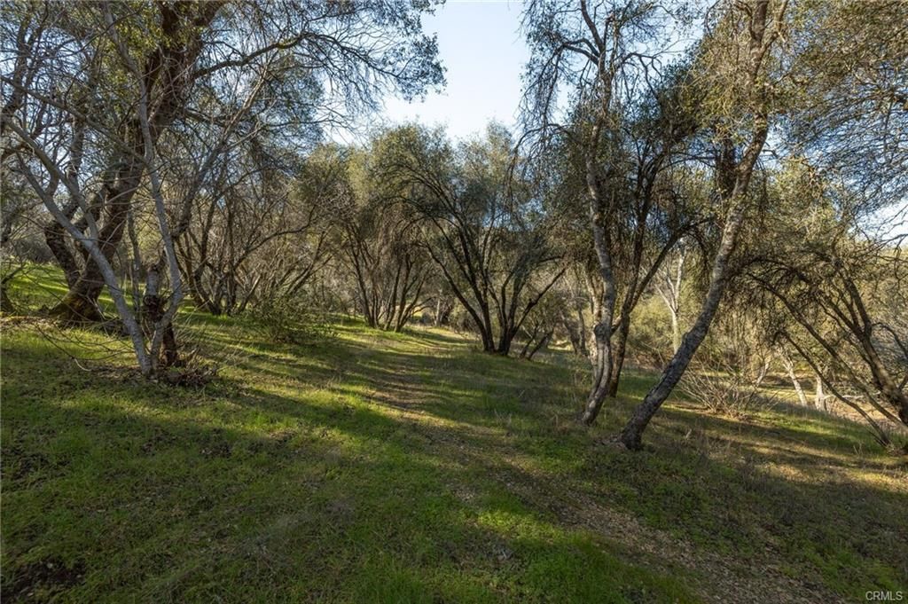 Image 46 of property listing at 42918 Highway 49, Ahwahnee, CA 93601