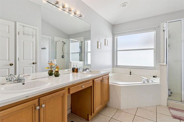 3195 WHOOPING CRANE RUN, Kissimmee, FL 34741