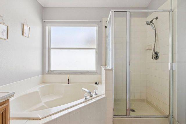 3195 WHOOPING CRANE RUN, Kissimmee, FL 34741