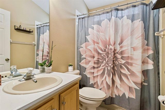 3195 WHOOPING CRANE RUN, Kissimmee, FL 34741