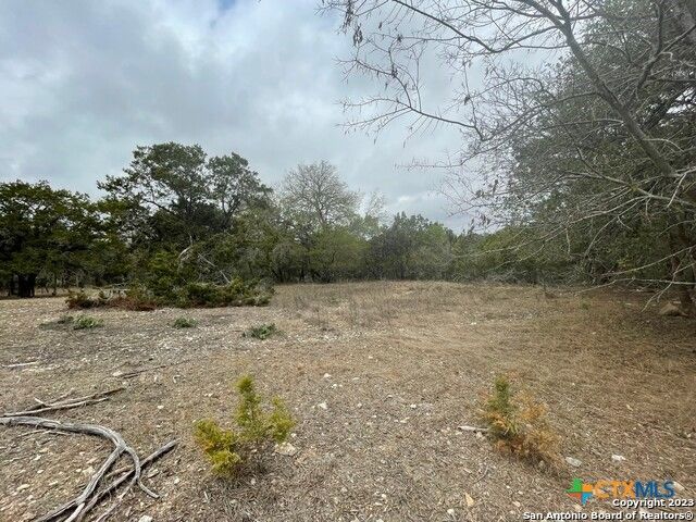 125 Pecan Drive, Spring Branch, TX 78070