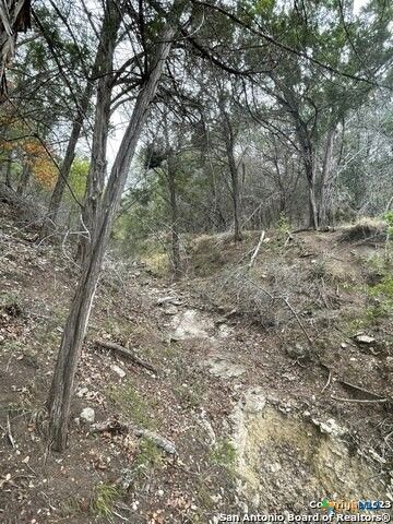 125 Pecan Drive, Spring Branch, TX 78070