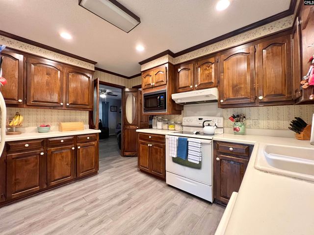 295 S Royal Tower Drive, Irmo, SC 29063