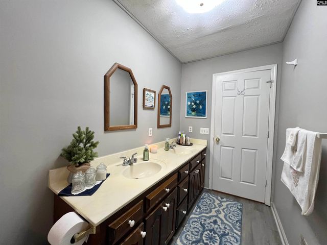 295 S Royal Tower Drive, Irmo, SC 29063