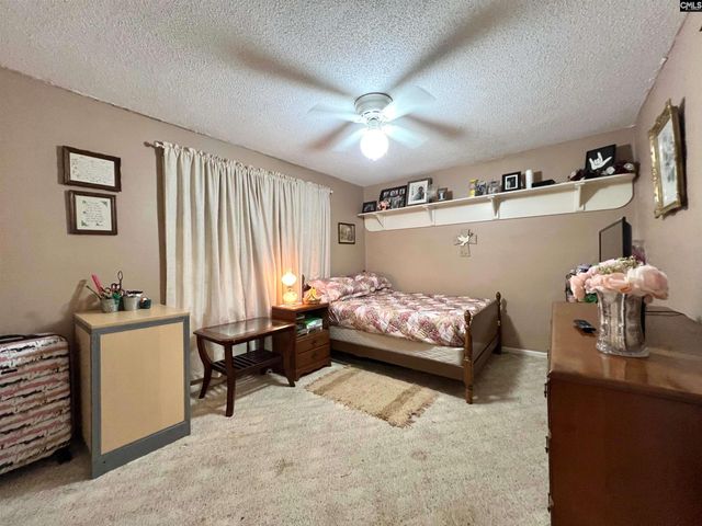 295 S Royal Tower Drive, Irmo, SC 29063
