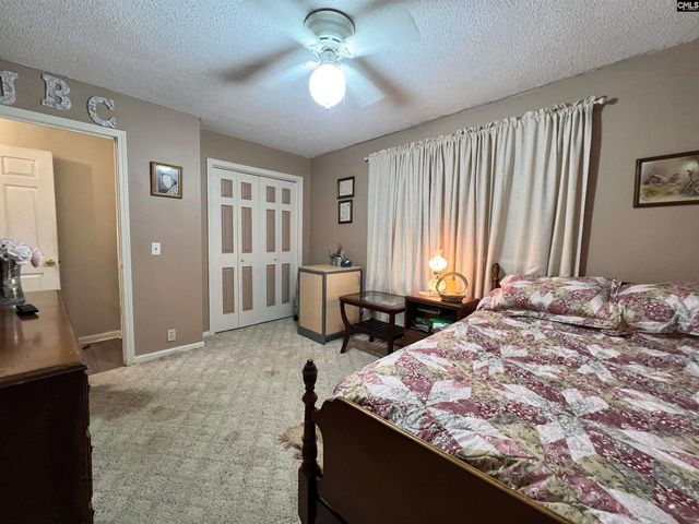 295 S Royal Tower Drive, Irmo, SC 29063