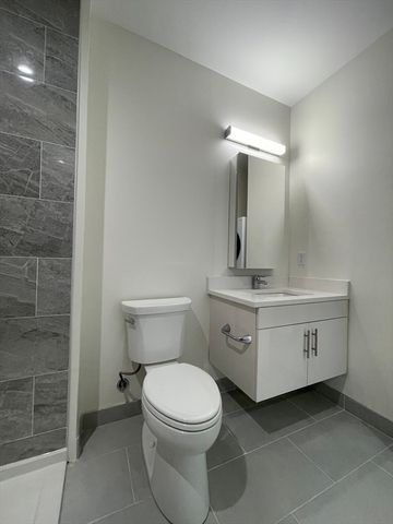 1151 Walnut St 306, Newton, MA 02461