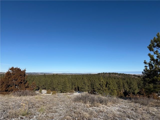 Lot 56 Hearts & Diamonds 2, Columbus, MT 59019