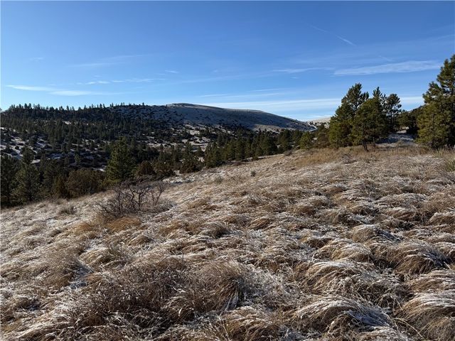 Lot 56 Hearts & Diamonds 2, Columbus, MT 59019