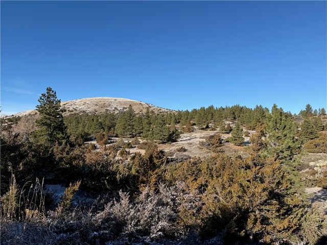 Lot 56 Hearts & Diamonds 2, Columbus, MT 59019