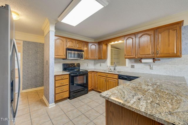 203 Sasanoa Court, Kingsport, TN 37664