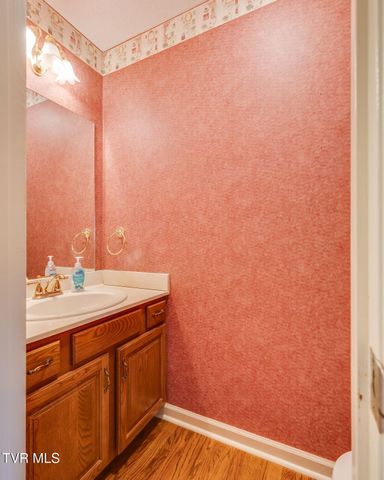 203 Sasanoa Court, Kingsport, TN 37664