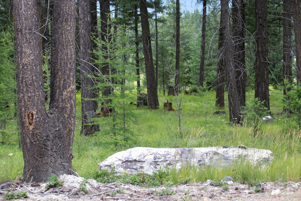 Address To Be Determined The Woodlands Lot 9, Whitefish, MT 59937 photo 3