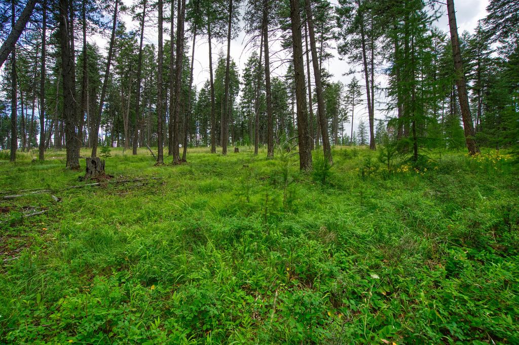 Address To Be Determined The Woodlands Lot 9, Whitefish, MT 59937 photo 5