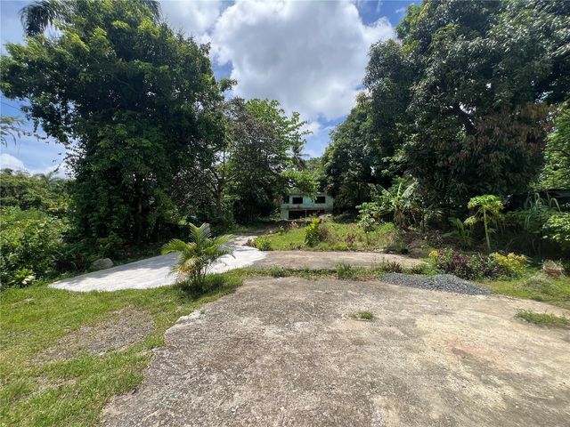 1 958 211, Rio Grande, PR 00745