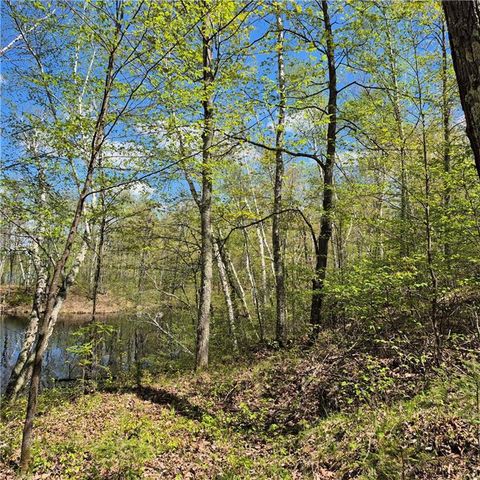 Lots 1,2, 7 Trapper Lane, Hayward, WI 54843