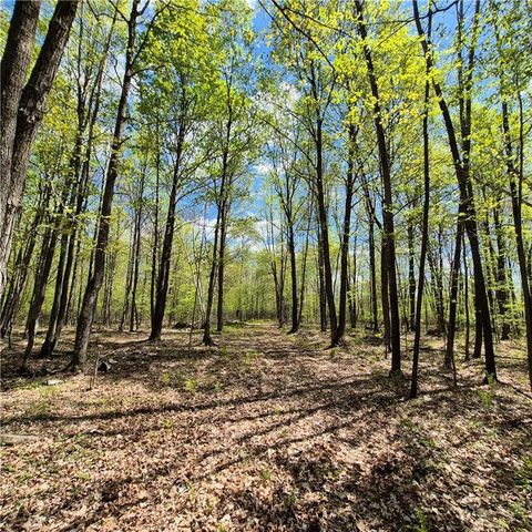 Lots 1,2, 7 Trapper Lane, Hayward, WI 54843