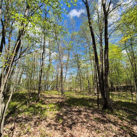 Lots 1,2, 7 Trapper Lane, Hayward, WI 54843