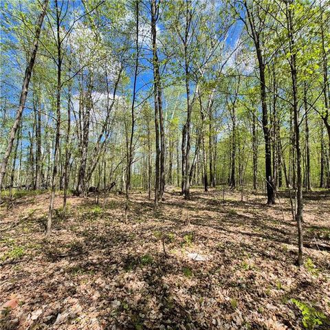 Lots 1,2, 7 Trapper Lane, Hayward, WI 54843