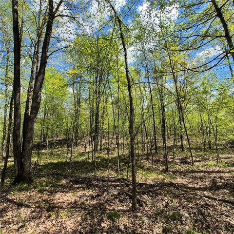 Lots 1,2, 7 Trapper Lane, Hayward, WI 54843