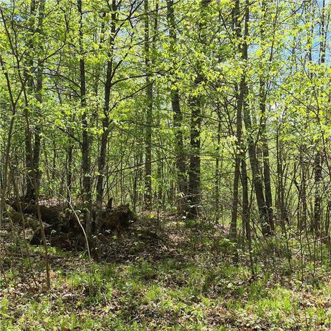 Lots 1,2, 7 Trapper Lane, Hayward, WI 54843